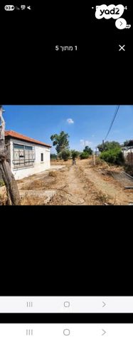 יהושע בן נון 28