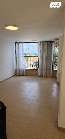 אמיר בנימיני 3