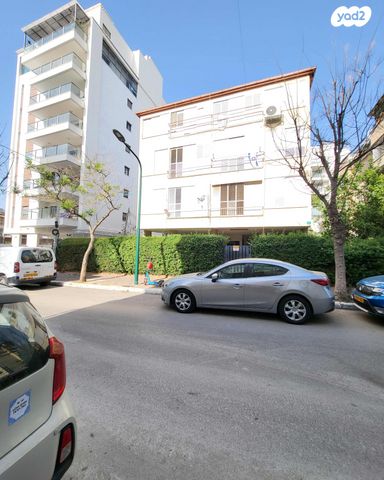 יהודה הלוי 7