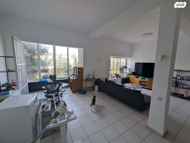 שדרות ודג'ווד 6