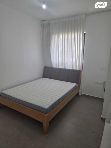 ליאונרדו דה וינצ'י 12