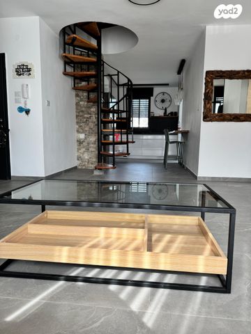 אירוס הארגמן 6