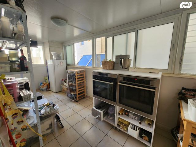 דוד אבידן 13