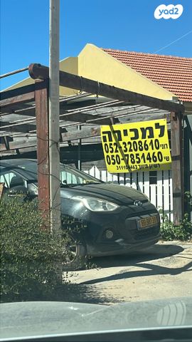 החבצלת 83