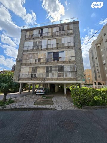 דוד וולפסון 