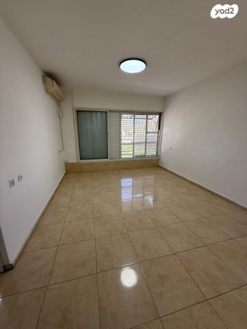 אלכסנדר זייד 