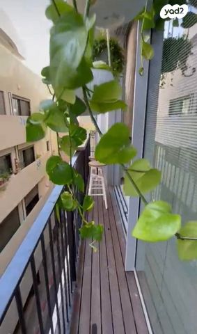 סמטת אלוף בצלות 