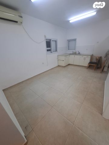 אברהם שפירא 