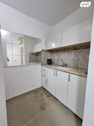 דרך עכו חיפה 241