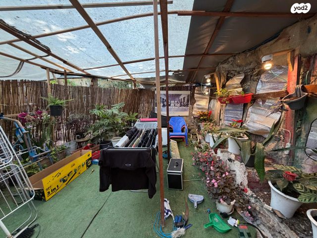 הרב אליהו שרים 