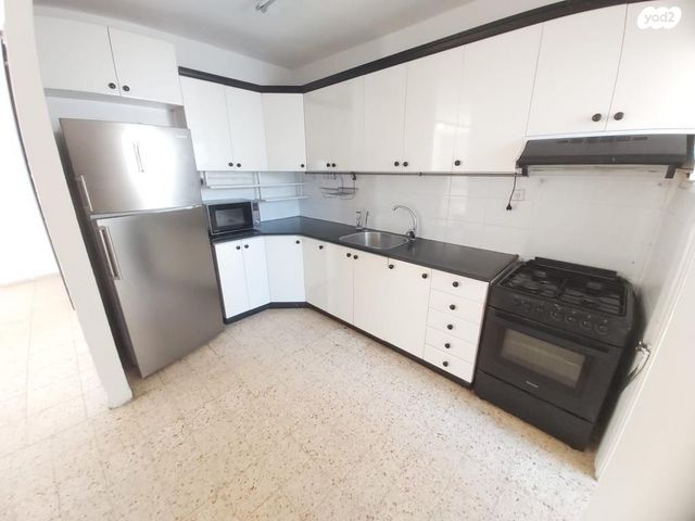 יהודה הלוי 25