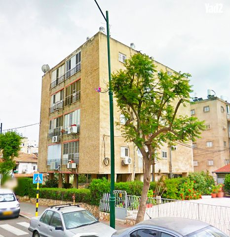 גרינבוים 
