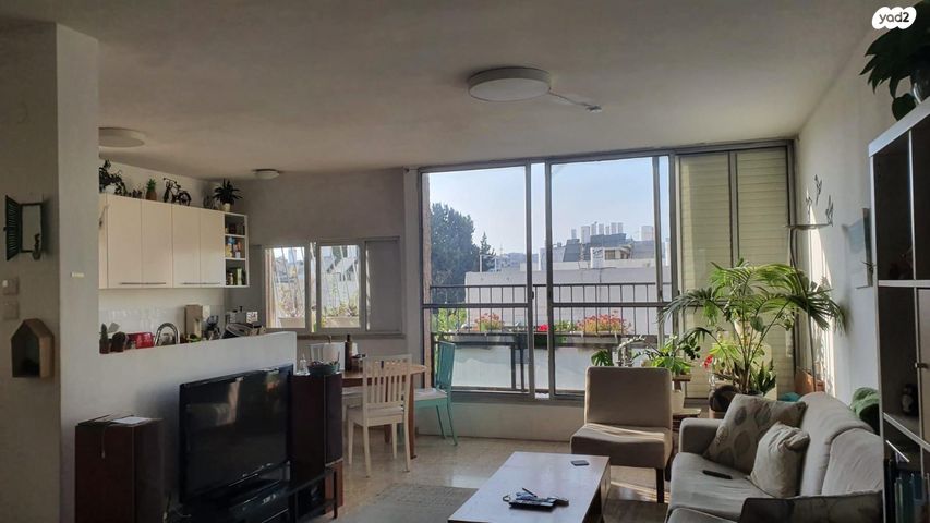 שלומציון המלכה 