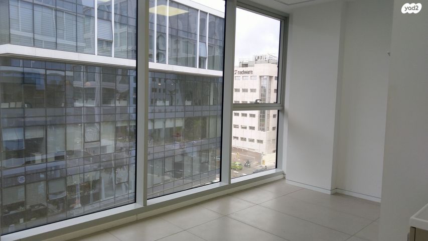 ראול ולנברג 