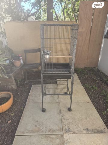 תמונת מודעה - חיות מחמד