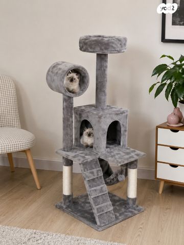 תמונת מודעה - חיות מחמד