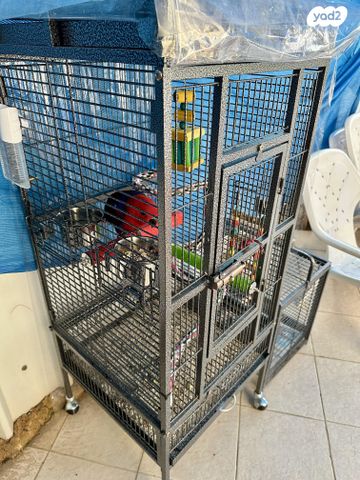 תמונת מודעה - חיות מחמד