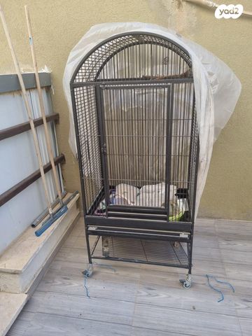 תמונת מודעה - חיות מחמד