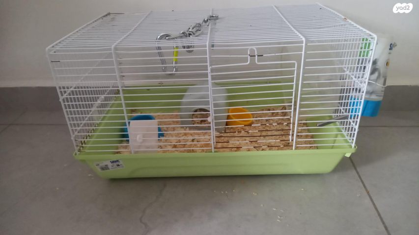 תמונת מודעה - חיות מחמד