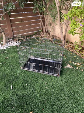 תמונת מודעה - חיות מחמד