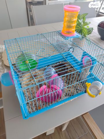 תמונת מודעה - חיות מחמד