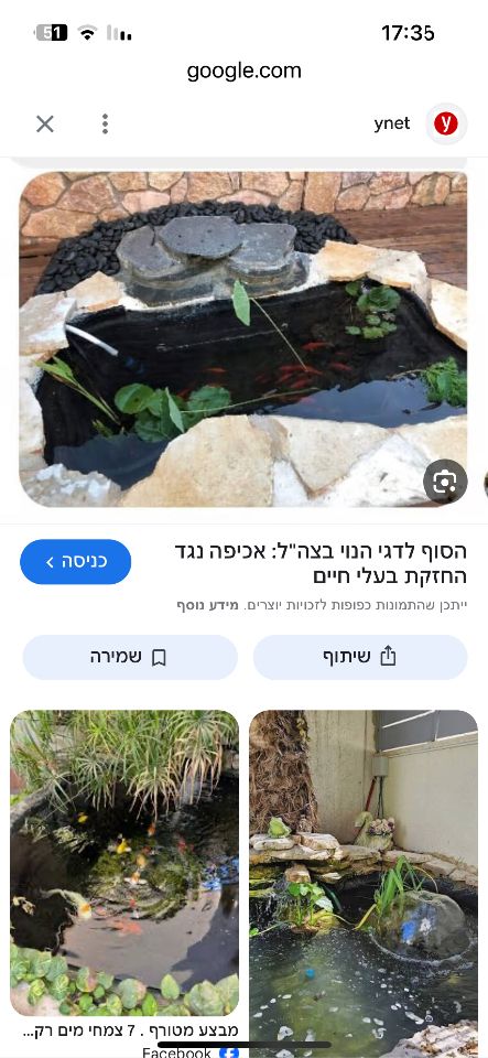 תמונת מודעה - חיות מחמד