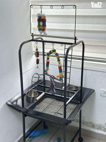 תמונת מודעה - חיות מחמד