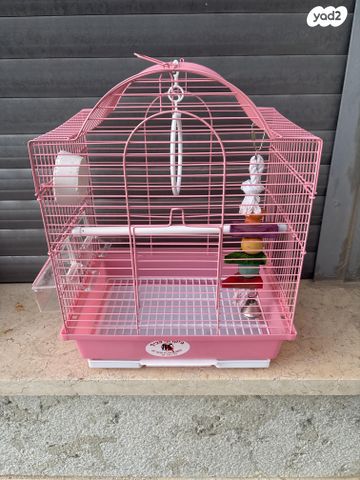 תמונת מודעה - חיות מחמד