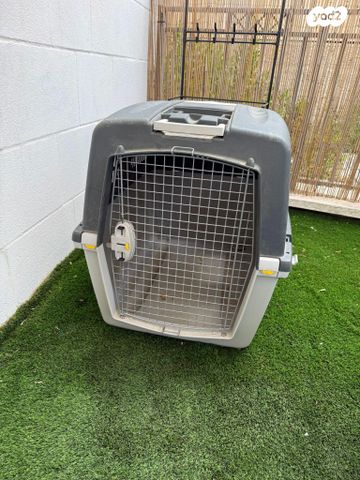 תמונת מודעה - חיות מחמד