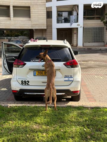 מודעת רכב ניסאן אקס טרייל