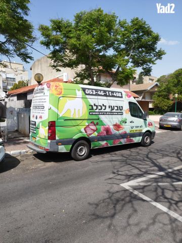 מודעת רכב פולקסווגן