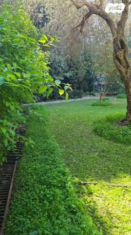 מנדלי מוכר ספרים 14