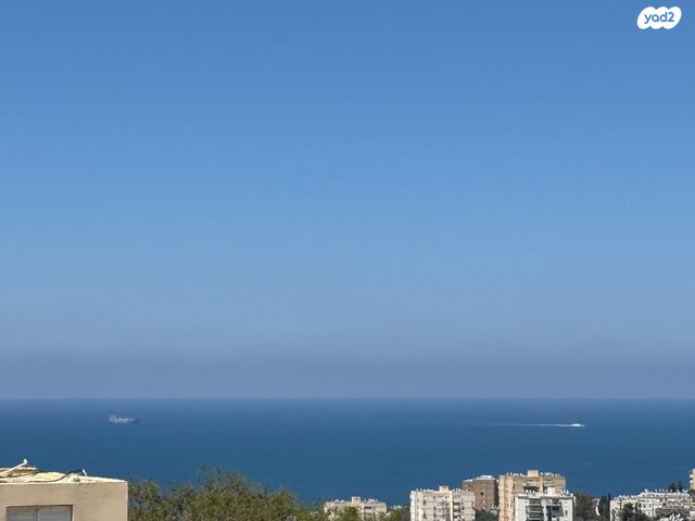 חרוב 11