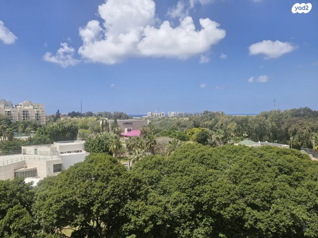 אליעזר קשאני 11