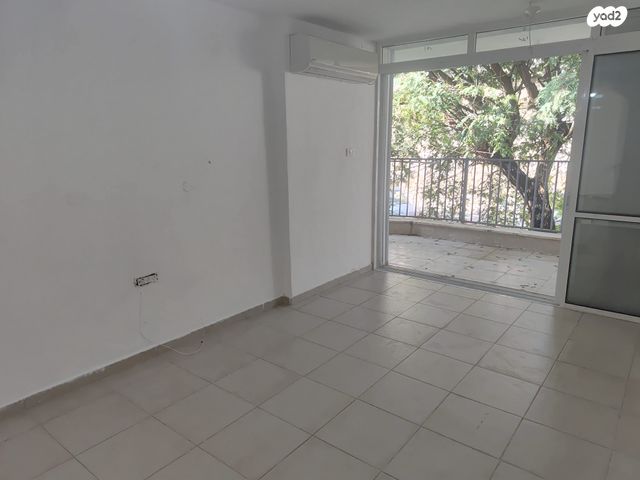 דוד בן גוריון 250