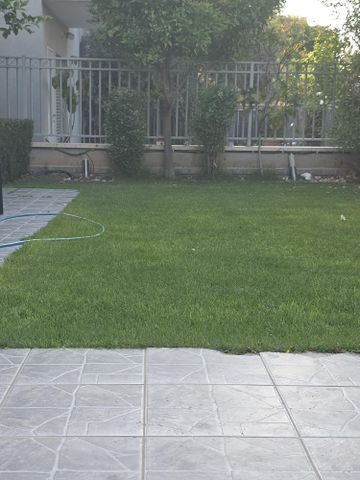 שאול המלך 153