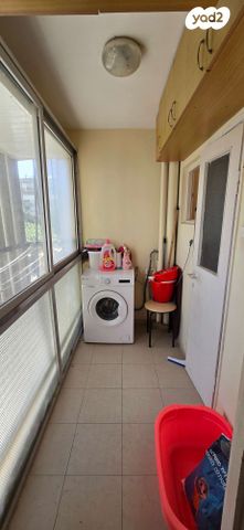 דניאל פייזר 8