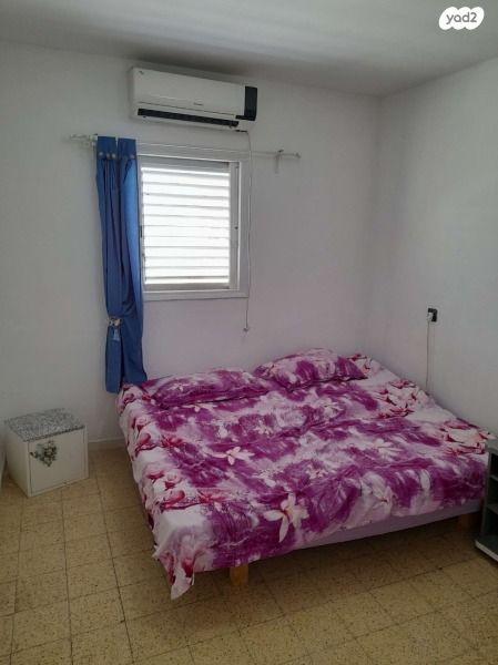 דוד פרישמן 2