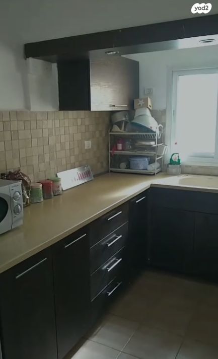 יוסף שפרינצק 24