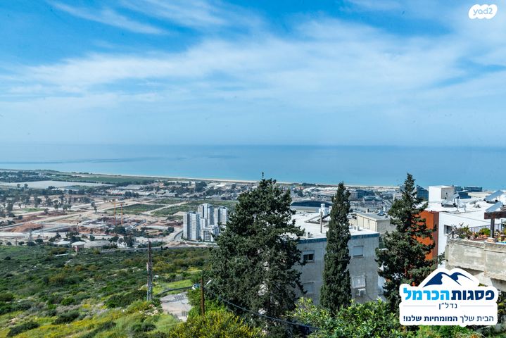 הרופא זלוצ'יסטי 