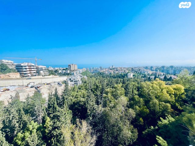 דירה, רמות רמז, חיפה