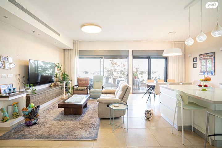 זמיר עמנואל 