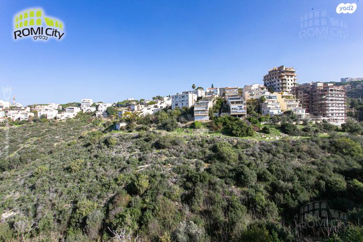 ראול ולנברג 8