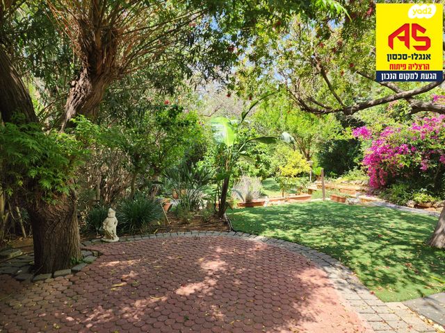 הרצליה פיתוח