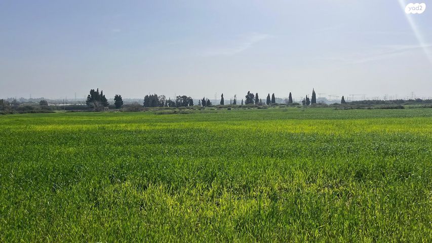 בית פרטי/ קוטג'
