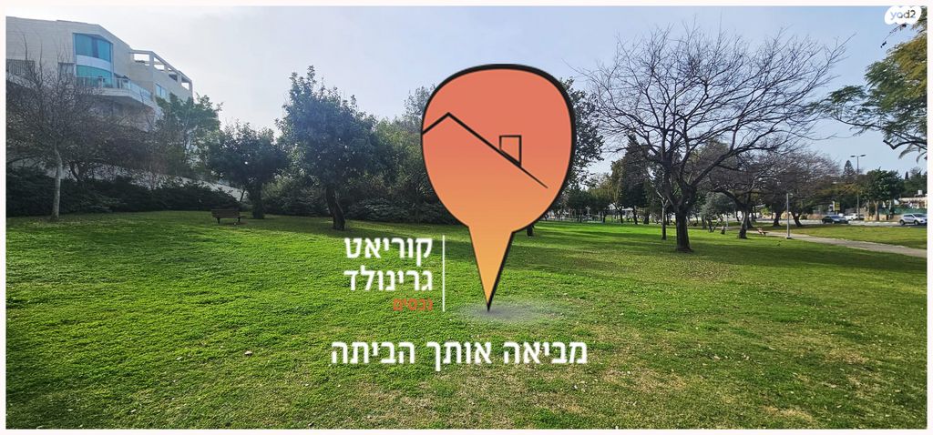 אלכסנדר סשה ארגוב 