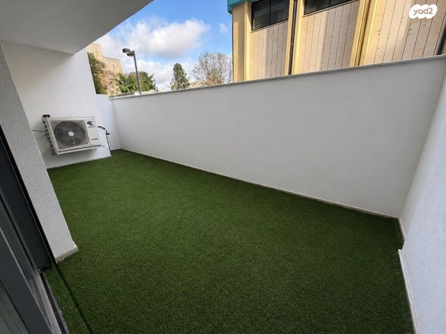 קהילת ברזיל 8