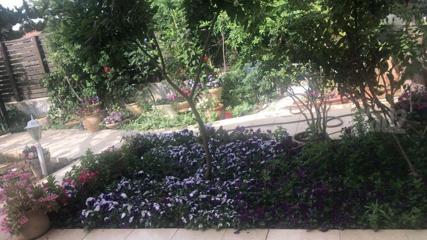בית פרטי/ קוטג' למכירה בתל אביב יפו (תיווך) — 3