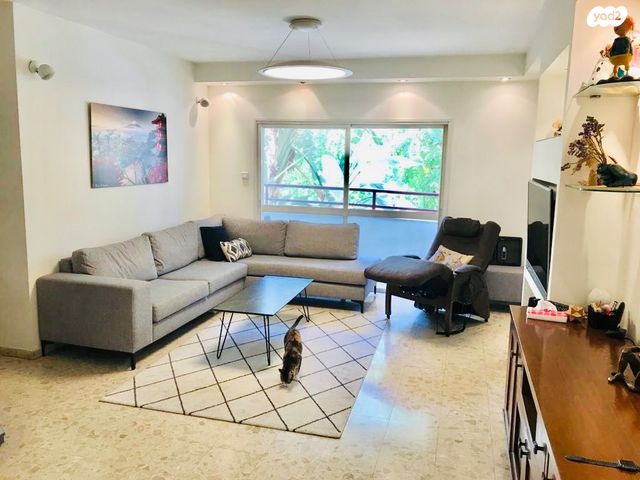 זלמן שניאור 11