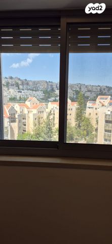 משה קול 
